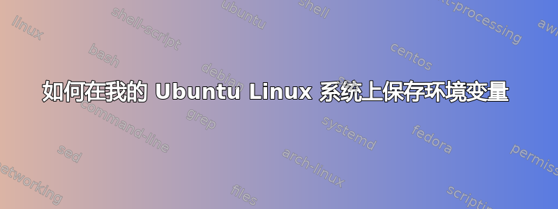 如何在我的 Ubuntu Linux 系统上保存环境变量