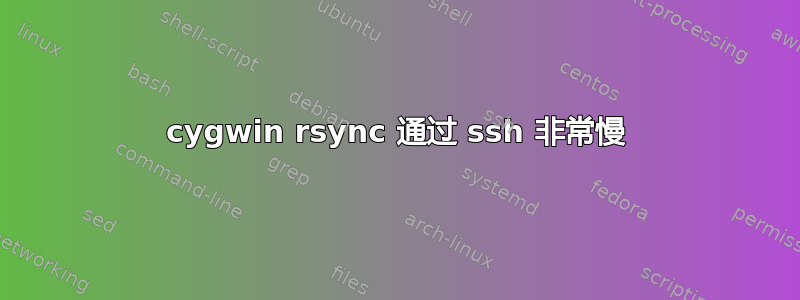 cygwin rsync 通过 ssh 非常慢