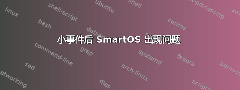 小事件后 SmartOS 出现问题