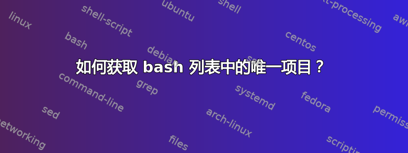 如何获取 bash 列表中的唯一项目？