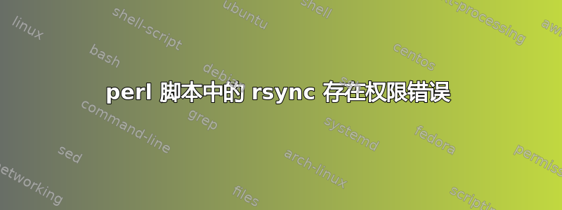 perl 脚本中的 rsync 存在权限错误