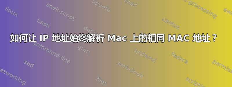 如何让 IP 地址始终解析 Mac 上的相同 MAC 地址？