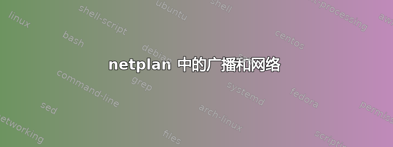 netplan 中的广播和网络