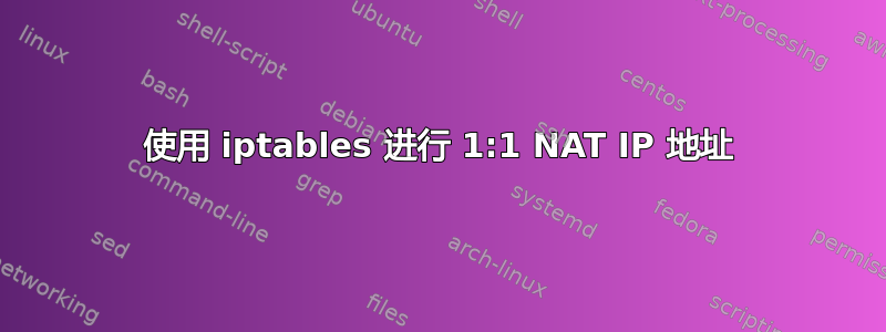 使用 iptables 进行 1:1 NAT IP 地址