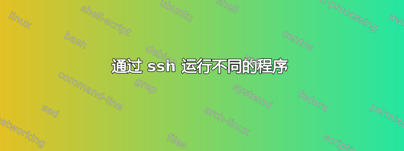 通过 ssh 运行不同的程序