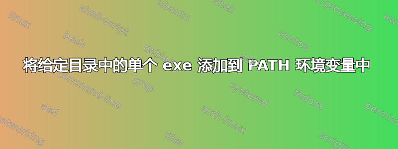 将给定目录中的单个 exe 添加到 PATH 环境变量中