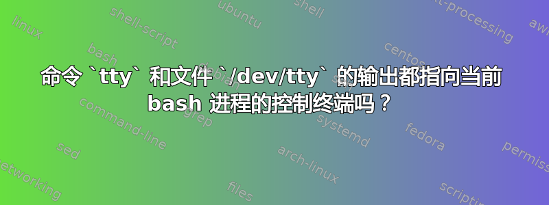 命令 `tty` 和文件 `/dev/tty` 的输出都指向当前 bash 进程的控制终端吗？