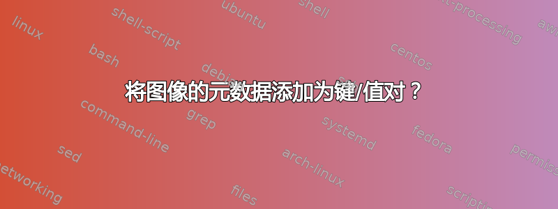 将图像的元数据添加为键/值对？