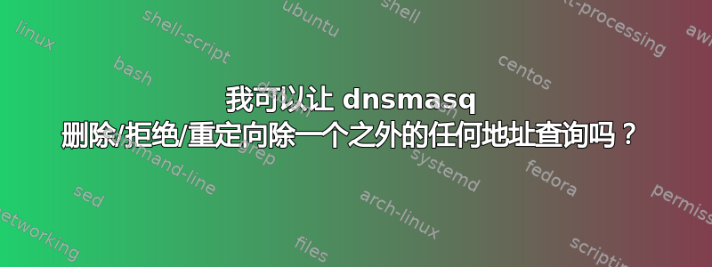 我可以让 dnsmasq 删除/拒绝/重定向除一个之外的任何地址查询吗？