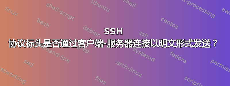 SSH 协议标头是否通过客户端-服务器连接以明文形式发送？