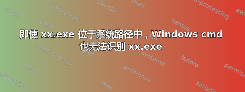 即使 xx.exe 位于系统路径中，Windows cmd 也无法识别 xx.exe