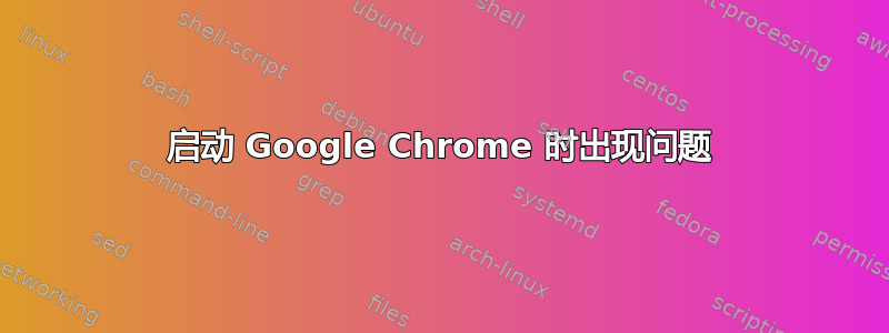 启动 Google Chrome 时出现问题