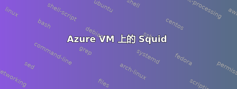 Azure VM 上的 Squid