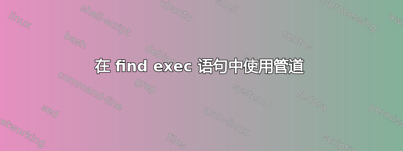 在 find exec 语句中使用管道