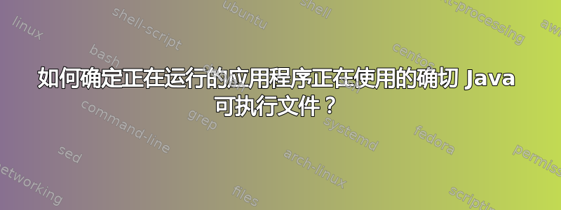 如何确定正在运行的应用程序正在使用的确切 Java 可执行文件？