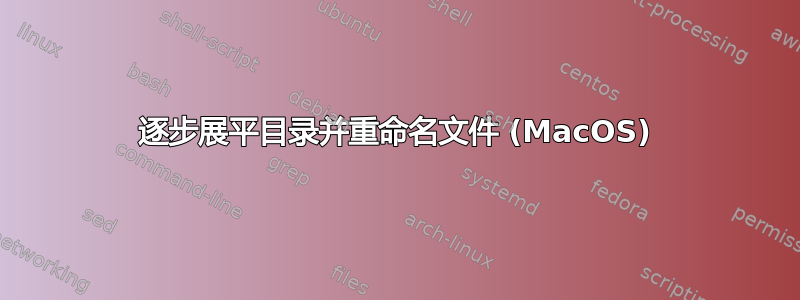 逐步展平目录并重命名文件 (MacOS)