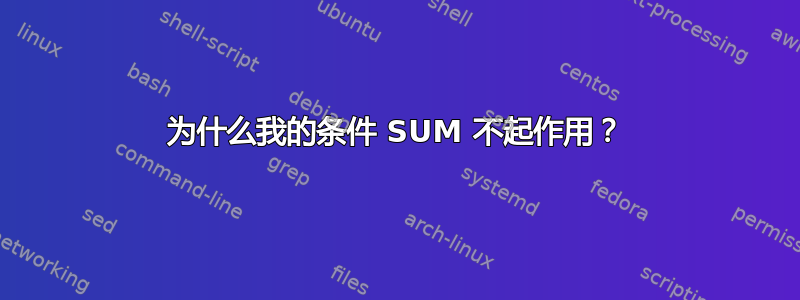 为什么我的条件 SUM 不起作用？