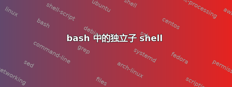 bash 中的独立子 shell