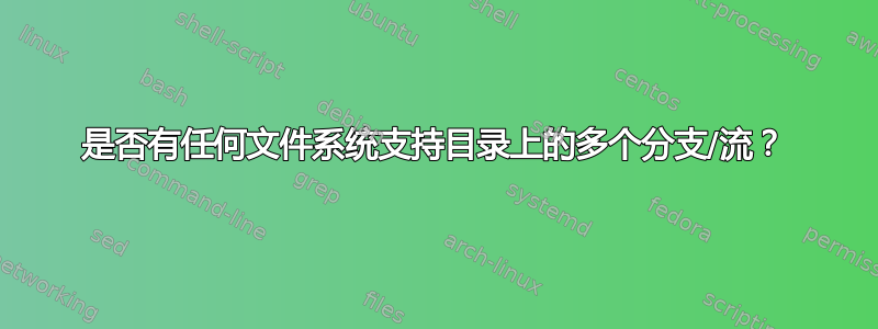 是否有任何文件系统支持目录上的多个分支/流？