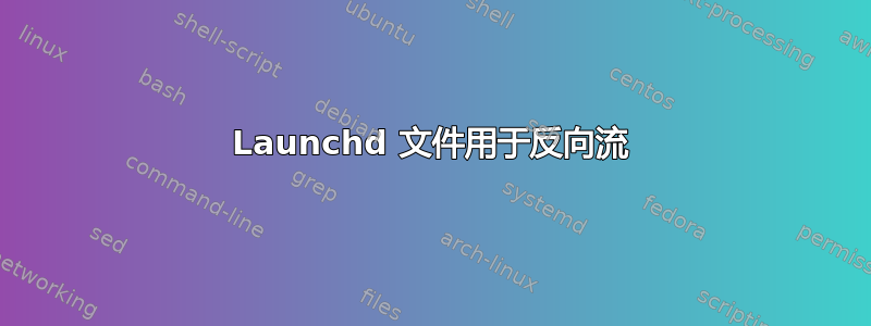 Launchd 文件用于反向流