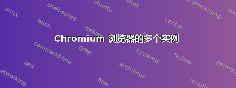 Chromium 浏览器的多个实例