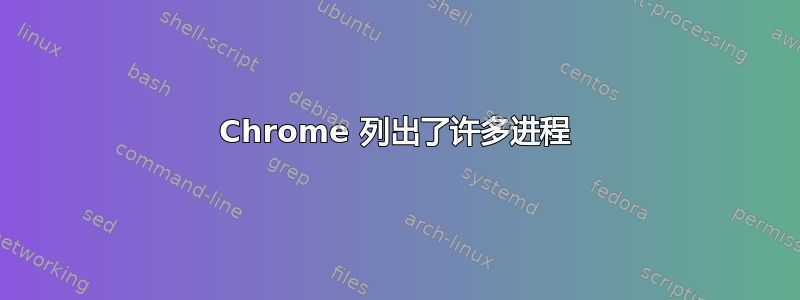 Chrome 列出了许多进程