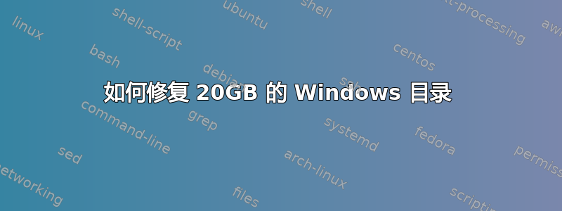 如何修复 20GB 的 Windows 目录