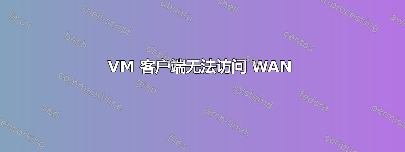 VM 客户端无法访问 WAN