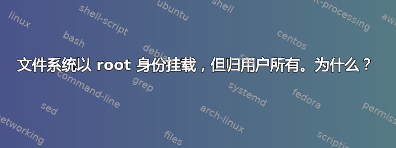 文件系统以 root 身份挂载，但归用户所有。为什么？