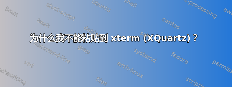 为什么我不能粘贴到 xterm (XQuartz)？