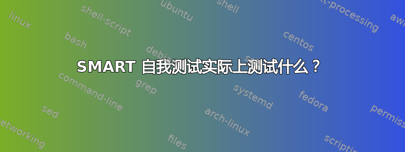 SMART 自我测试实际上测试什么？