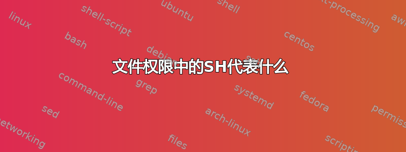 文件权限中的SH代表什么