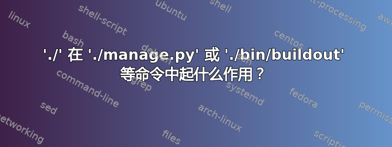 './' 在 './manage.py' 或 './bin/buildout' 等命令中起什么作用？