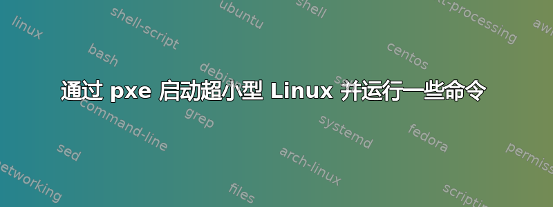 通过 pxe 启动超小型 Linux 并运行一些命令