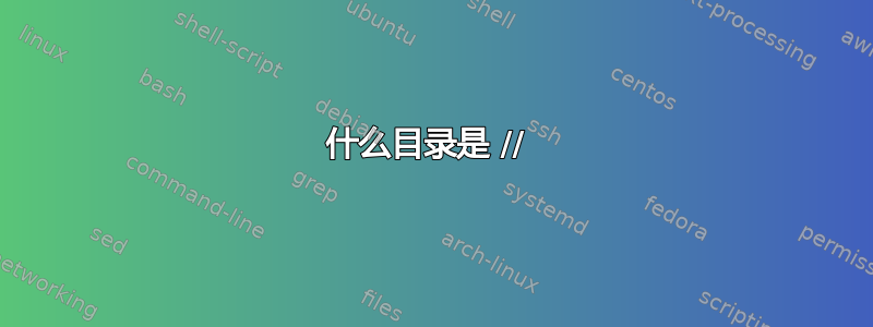 什么目录是 // 