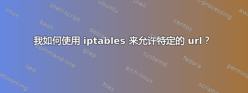 我如何使用 iptables 来允许特定的 url？