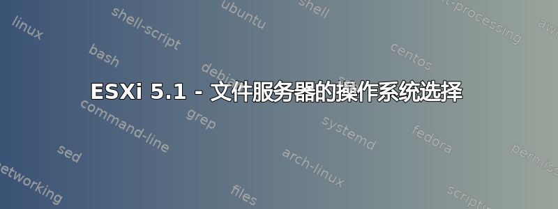 ESXi 5.1 - 文件服务器的操作系统选择