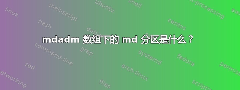 mdadm 数组下的 md 分区是什么？