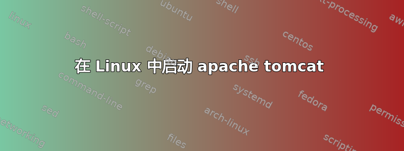 在 Linux 中启动 apache tomcat