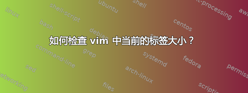 如何检查 vim 中当前的标签大小？