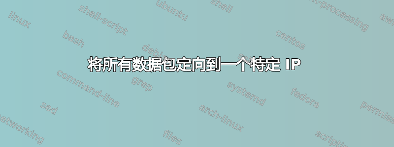 将所有数据包定向到一个特定 IP