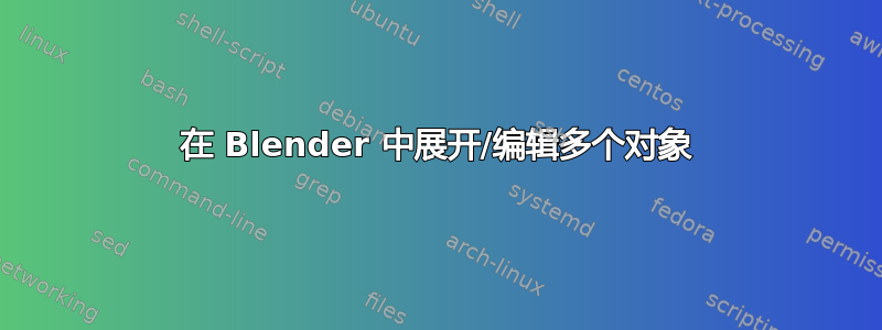 在 Blender 中展开/编辑多个对象