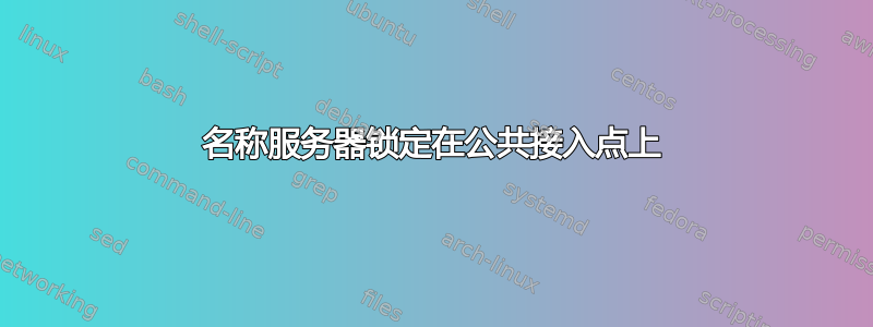 名称服务器锁定在公共接入点上