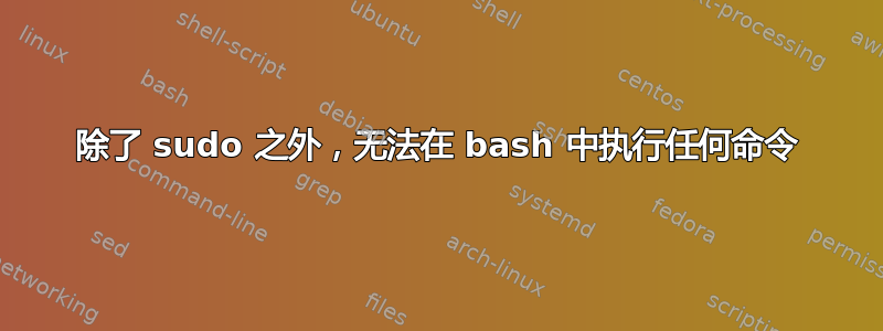 除了 sudo 之外，无法在 bash 中执行任何命令