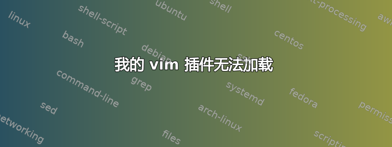 我的 vim 插件无法加载