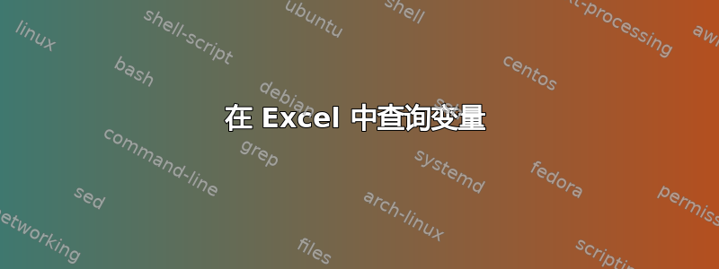 在 Excel 中查询变量