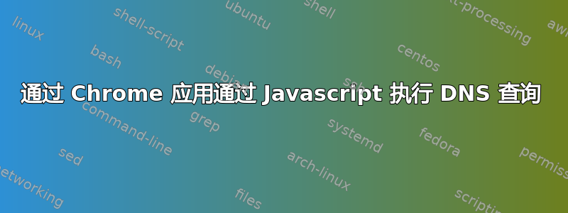 通过 Chrome 应用通过 Javascript 执行 DNS 查询