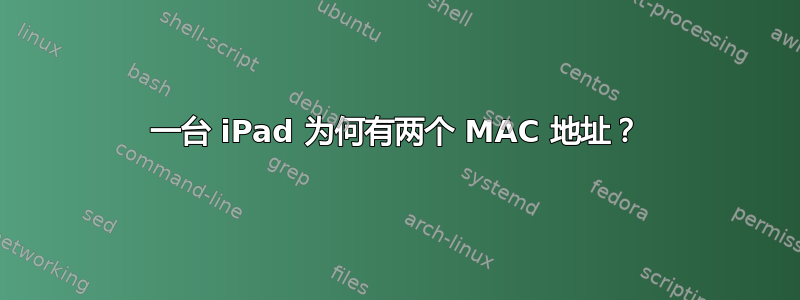 一台 iPad 为何有两个 MAC 地址？