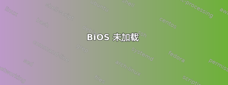 BIOS 未加载