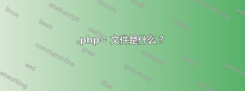 .php~ 文件是什么？